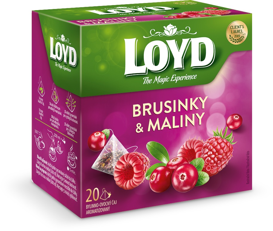 Loyd pyramida Brusinky & Maliny 20*2g