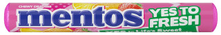 Mentos FRUIT 38g cena za kartonové balení
